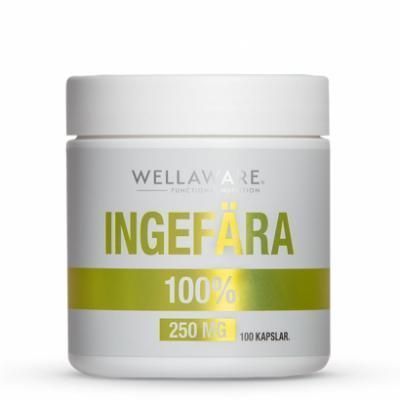 WellAware Ginger 100 kapsler