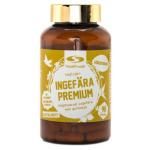 Healthwell Ginger Premium